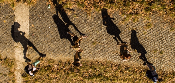 bird's eye view of students on a campus sidewalk during autumn