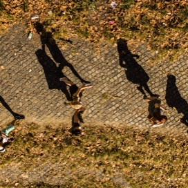 bird's eye view of students on a campus sidewalk during autumn